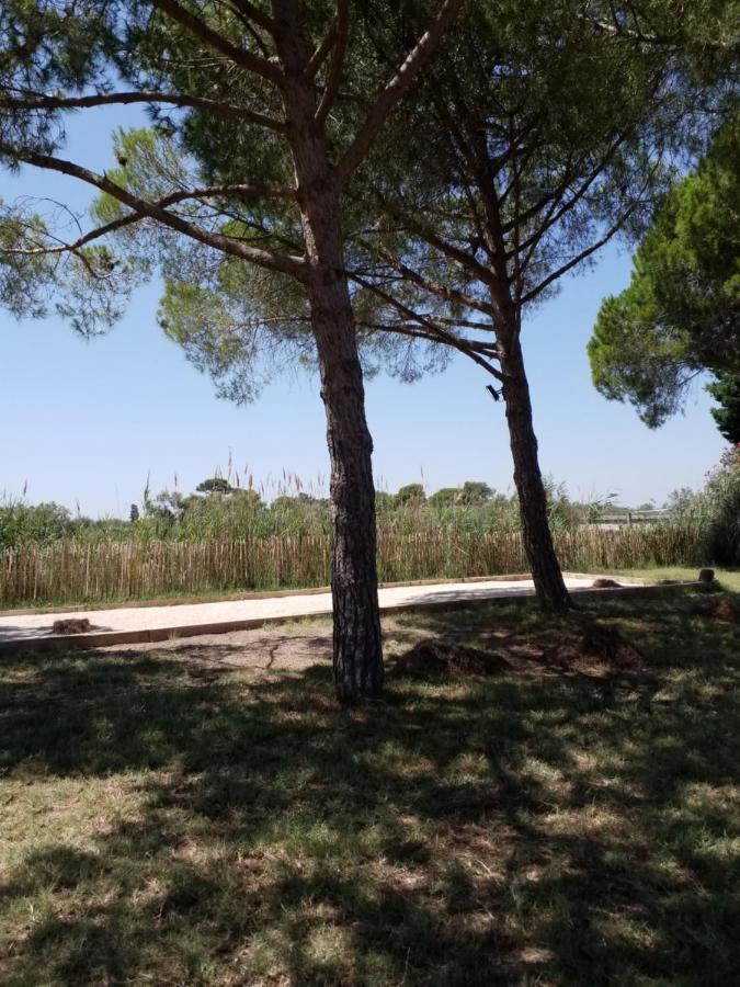 Domaine Du Soleil Couchant سانت ماري دو لا مير المظهر الخارجي الصورة